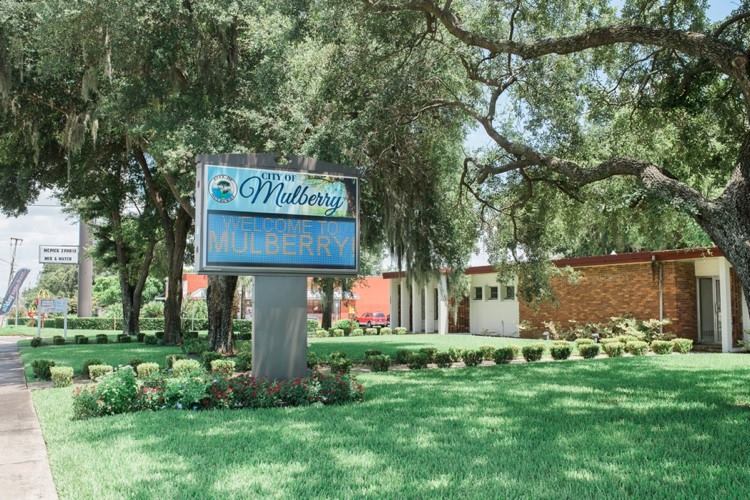 Mulberry florida discount news